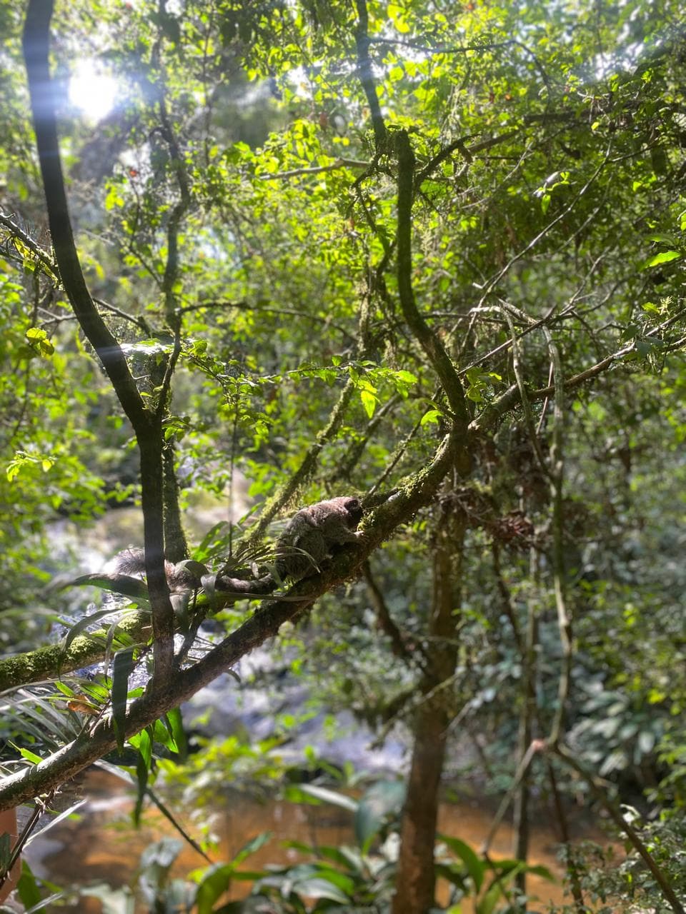 Registro pessoal 3